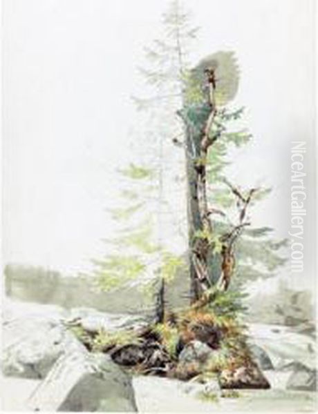 Study Of Trees And Rocks In Ramsau Oil Painting by Carl Morgenstern