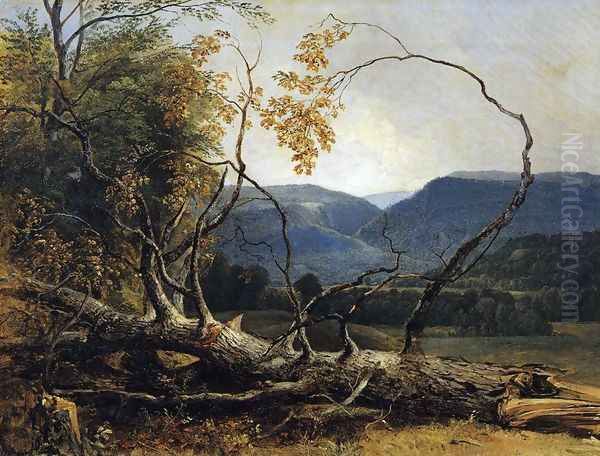 Study from Nature, Stratton Notch, Vermont Oil Painting by Asher Brown Durand