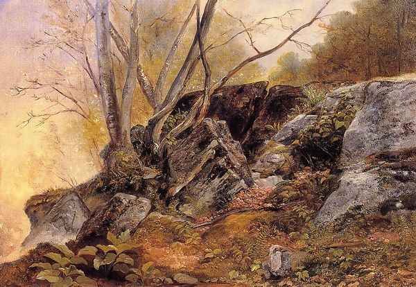 Study from Nature, Rocks and Trees Oil Painting by Asher Brown Durand