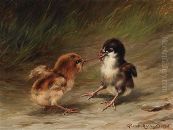 Two Chicks With A Worm Oil Painting by Robert Morley