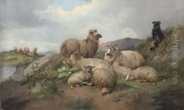 Sheep And Lambs With A Sheep Dog On A Hillside Oil Painting by Alfred Morris