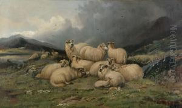 (fl.late 19thcentury) Sheep In A Highland Glen Oil Painting by Alfred Morris