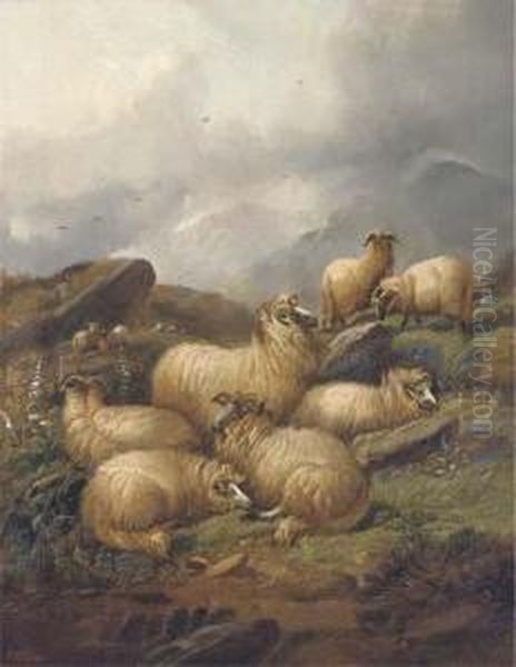 Sheep In A Highland Landscape Oil Painting by Alfred Morris