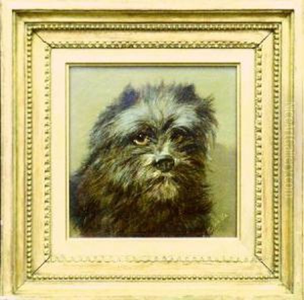 Portrait Of A Cairn Terrier Oil Painting by Alfred Morris