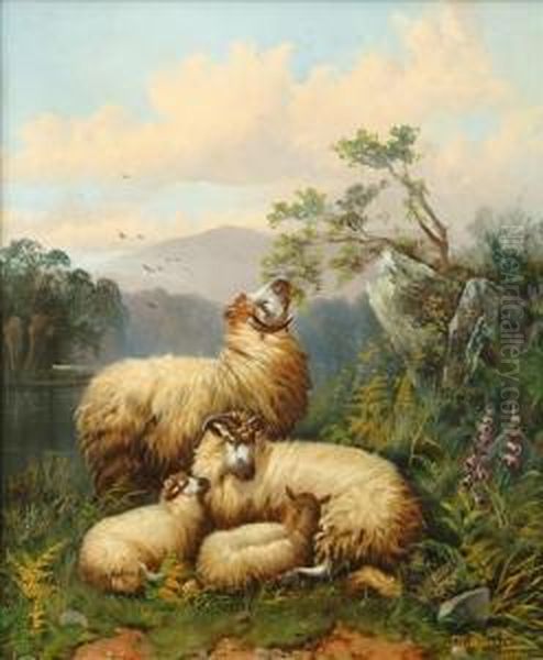 Sheep Resting In Ariver Landscape Oil Painting by John Morris