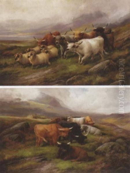 Highland Cattle (#) Highland Cattle And Sheep Oil Painting by John Morris