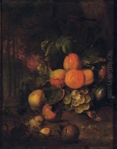 Peaches, Plums, Grapes, Medlars And Nuts In A Wooded Clearing With A Butterfly Oil Painting by Jan Mortel