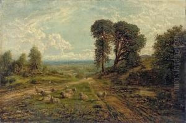 A Flock Of Sheep In An Extensive Landscape Oil Painting by George William Mote