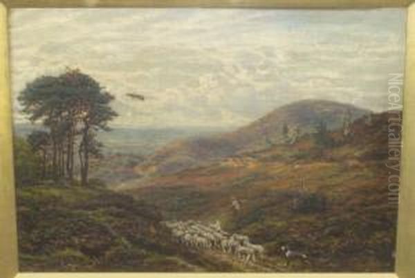 Drover And His Dog With Sheep On
 A Country Path, Probably A Scene On The Hog's Back, Surrey Signed, Oil 
On Canvas, 36.5cm By 51cm Oil Painting by George William Mote