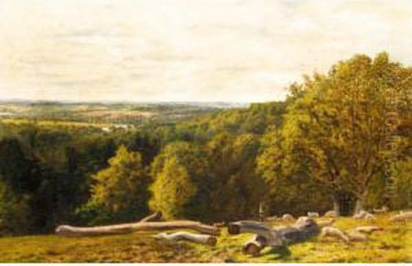 View From The North Downs, Surrey Oil Painting by George William Mote