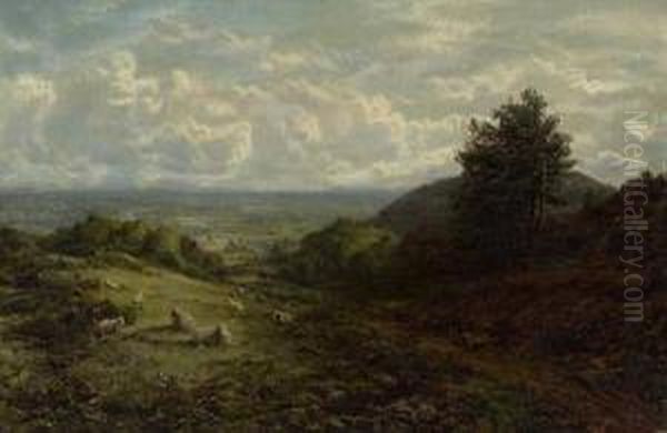 Englische Sommerlandschaft Mit Schafen Oil Painting by George William Mote