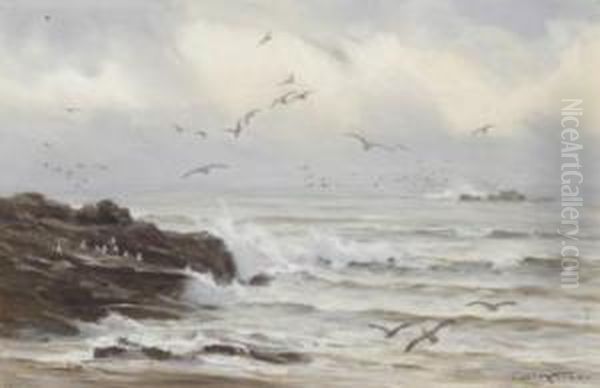 Coastal Seas Oil Painting by Charles Mottram