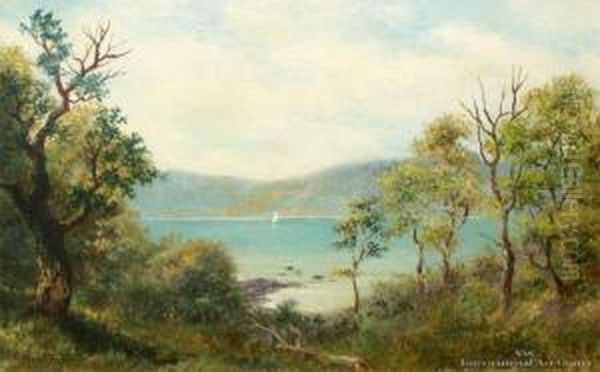 The Edge Of The Bush, Colac Bay, Southland Oil Painting by John Elder Moultray