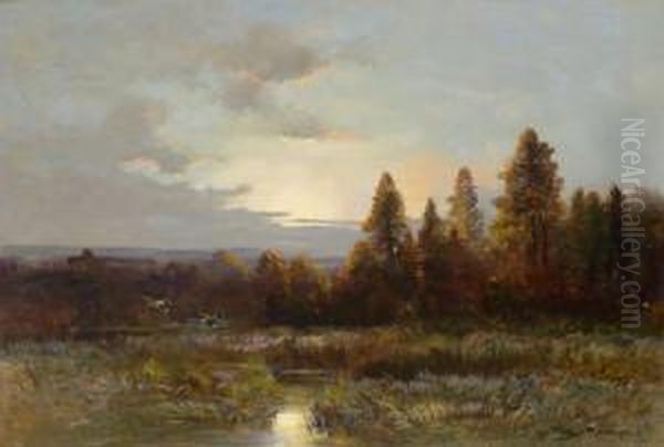 Enten In Aulandschaft Bei Morgendammerung Oil Painting by Moritz Muller