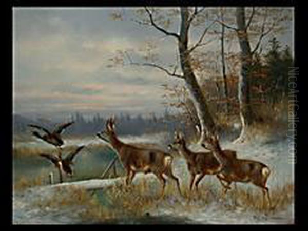 Rehe Und Enten Vor Waldlichtung Oil Painting by Moritz Muller