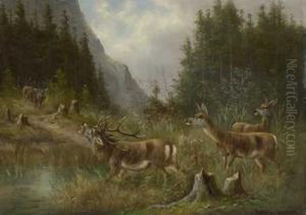 Platzhirsch Mit Hirschkuhen An Der Tranke In Der Brunft Oil Painting by Moritz Muller