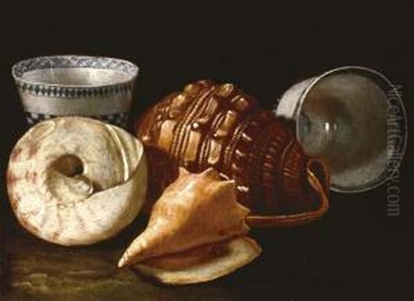 Three Shells And Two Ceramic Bowls Oil Painting by Cristoforo Munari