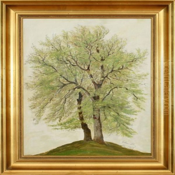 Beech Threes In Leaf At Springtime. Signed E. Mundt, Maj 1903 Oil Painting by Emilie Mundt