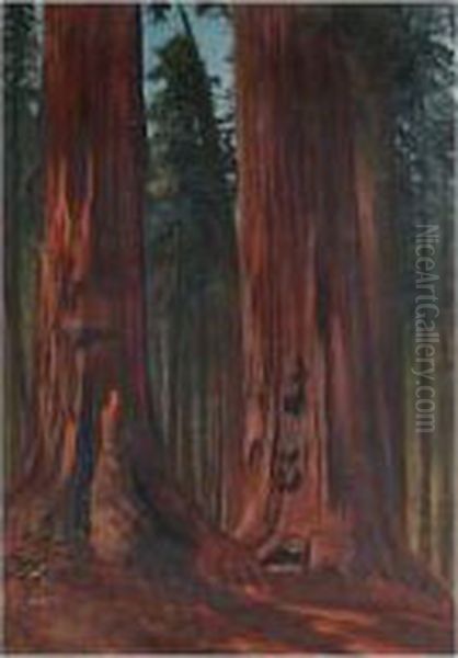 Redwoods Oil Painting by Gilbert Davis Munger