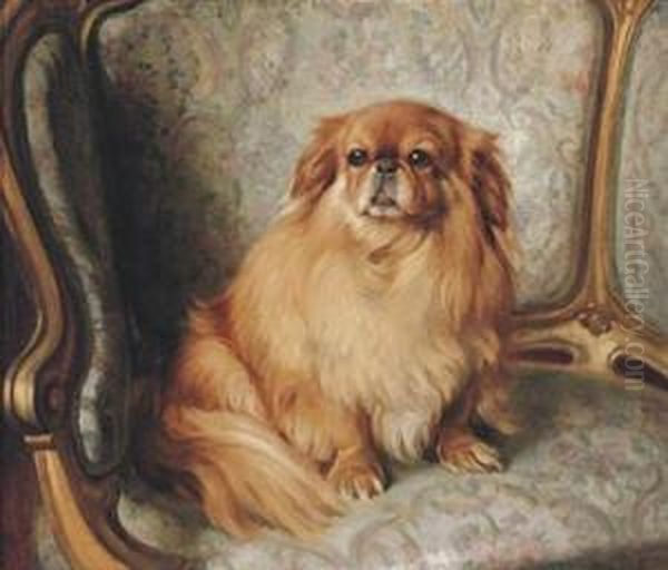 Pekingese Resplendent In Gilt Chair Oil Painting by John Bernard Munns