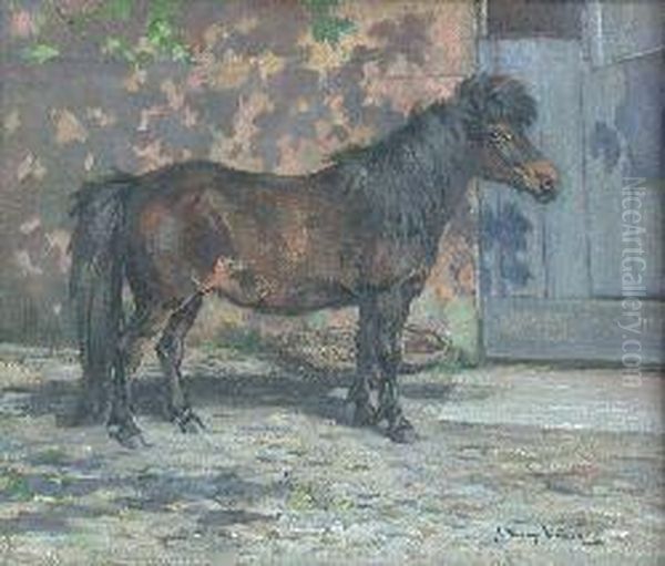 Study Of A Shetland Pony Sybil Oil Painting by J. Murray