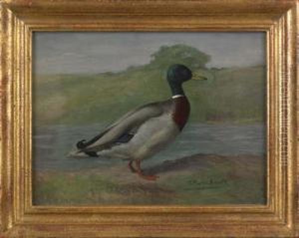 Mallard Drake Oil Painting by Gustav Muss-Arnolt