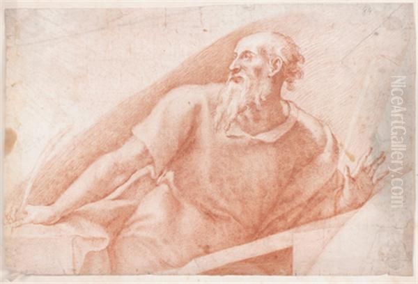 Etude Pour Un Saint Jerome Oil Painting by Girolamo Muziano