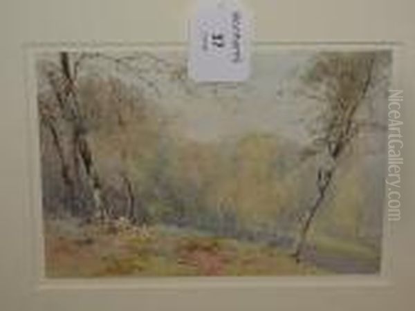 A Forest Landscape Oil Painting by Paul Jacob Naftel