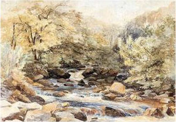 A River In A Woodland Oil Painting by Paul Jacob Naftel