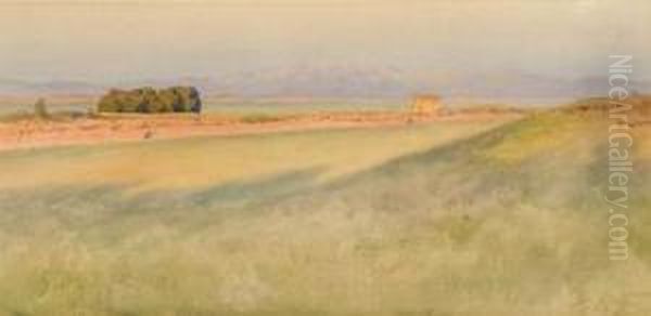 Veduta Della Campagna Romana Oil Painting by Enrico Nardi