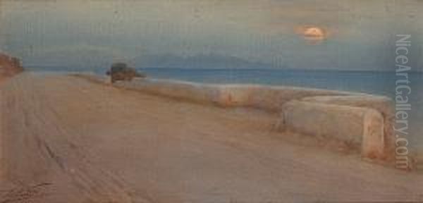 Sunset On The Coast Oil Painting by Enrico Nardi