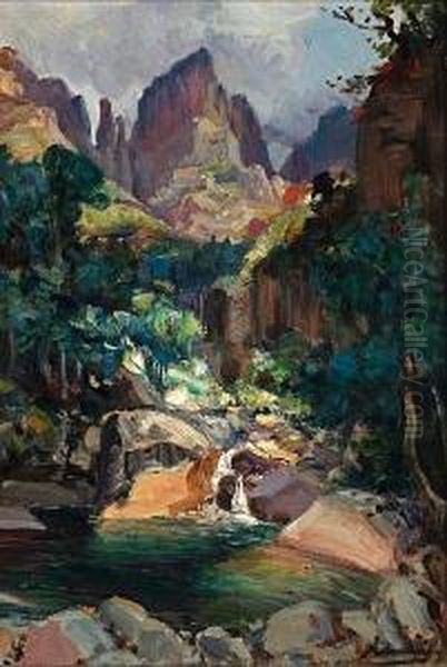 Mountain Stream, Drakensberg Oil Painting by Hugo Pieter Naude