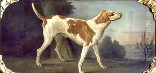 Briador a Dog from the Conde Pack Oil Painting by Alexandre-Francois Desportes