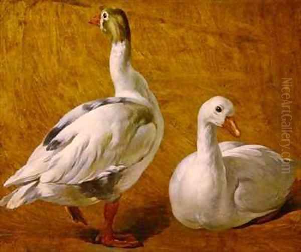 Study of Geese Oil Painting by Alexandre-Francois Desportes