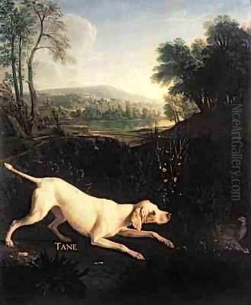 Louis XIVs Dog Tane Oil Painting by Alexandre-Francois Desportes