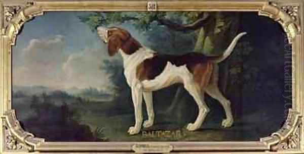 Baltazar a Dog from the Conde Pack Oil Painting by Alexandre-Francois Desportes