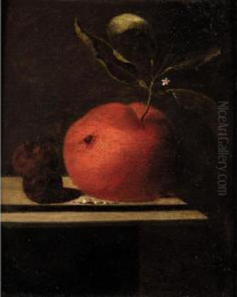 A Still Life Of An Orange And Two Medlars Upon A Ledge by Marten Nellius