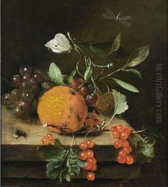 A Still Life Of An Orange, 
Grapes And Red Berries, Together With A White Butterfly, A Dragonfly And
 A Bee, All On A Wooden Ledge Oil Painting by Marten Nellius