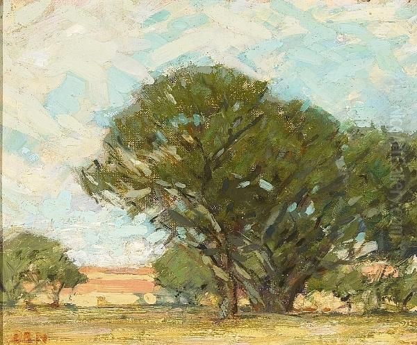 The Grounds At Stanford, Palo Alto by Ernest Bruce Nelson