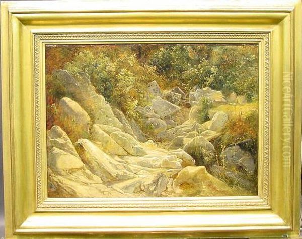 A Sunlit Streambed Oil Painting by Friedrich Nerly