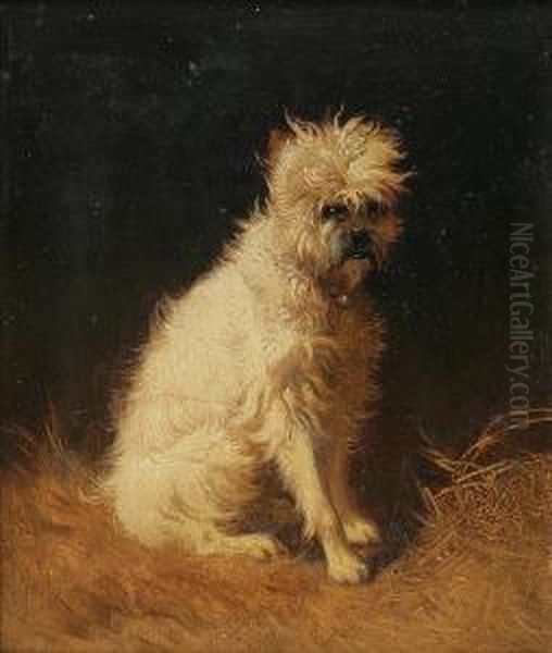 Dog Portrait Oil Painting by Josef Neugebauer