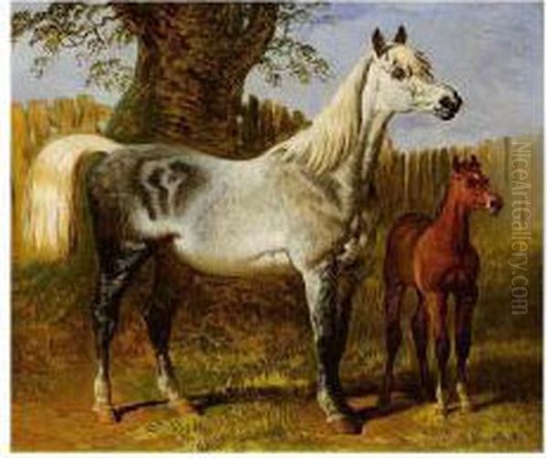 A Grey Mare And Foal Oil Painting by Hugh Newell