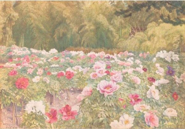 Peony Garden, Kyoto, Japan Oil Painting by Henry Roderick Newman