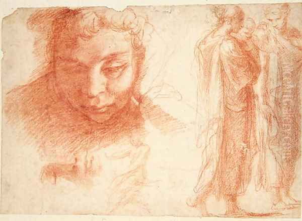 Studies for the head of a youth looking down and for the Virgin of the Annunciation, c.1527-28 Oil Painting by Polidoro Da Caravaggio (Caldara)