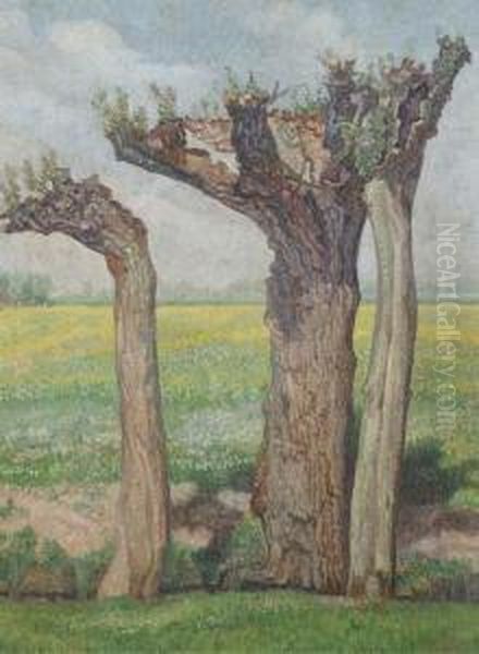 Landscape With Pollard Willows Oil Painting by Jaap Nieweg