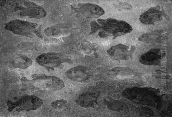 A Shoal Of Fish Oil Painting by Jaap Nieweg