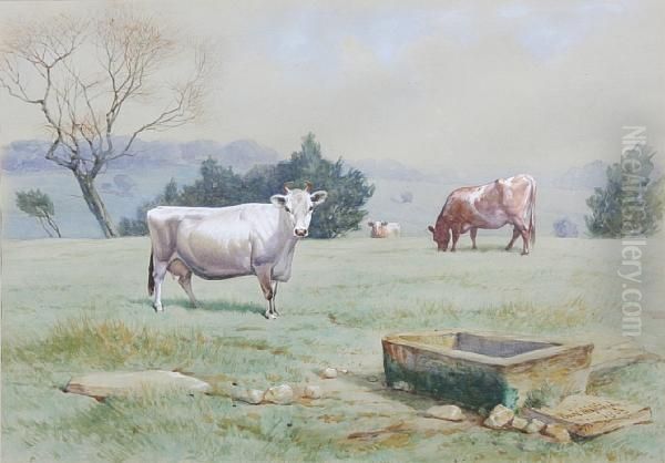 Cattle Grazing In A Field by Basil Nightingale