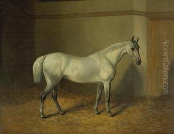 A Grey Horse In A Stable Oil Painting by Robert Nightingale