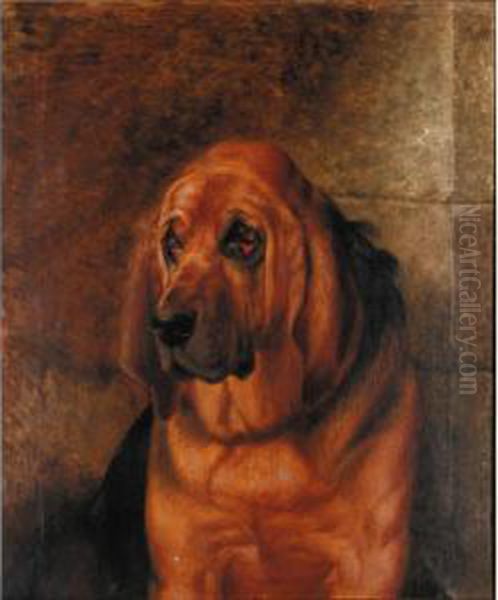 Portrait Of A Bloodhound Oil Painting by Robert Nightingale