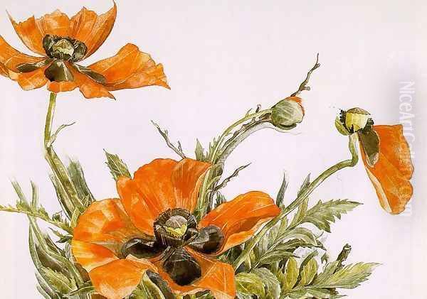 Poppies 1929 Oil Painting by Charles Demuth